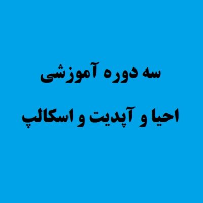 سه دوره آموزش احیا و آپدیت و اسکالپ مو